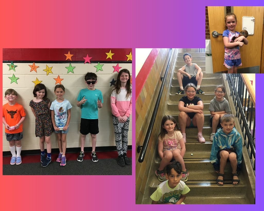 Live Feed Weeping Water Public School